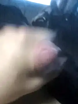 Boysex227 online show from 19, 3, 2026