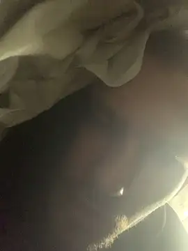 Boysex227 online show from 11, 11, 2025