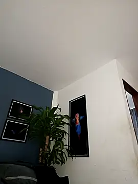 SilvaBranko online show from 18, 12, 2025