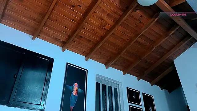 SilvaBranko online show from 29, 5, 2026