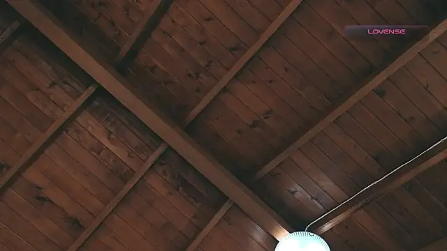 SilvaBranko online show from 2, 3, 2026