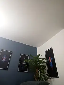 SilvaBranko online show from 29, 11, 2025