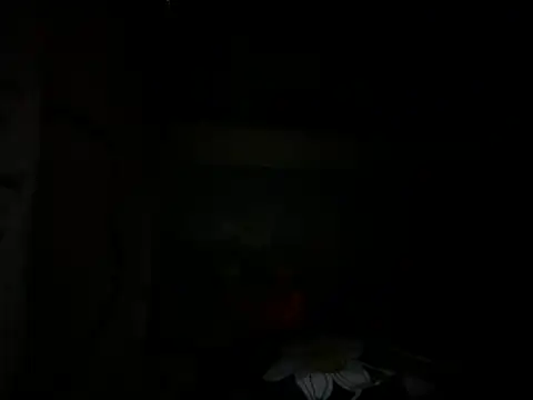 Mallayali 27 online show from 14, 1, 2025