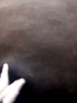 Swirly blac online show from 3, 4, 2026