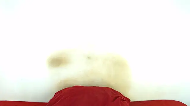 FAT ASS27 online show from 8, 2, 2026