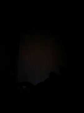 Berinjela20 online show from 2, 2, 2026