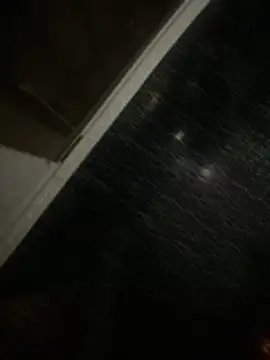 cheesecoc online show from 8, 2, 2026