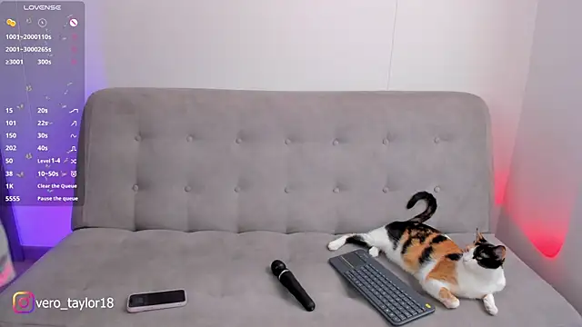 Snapshot of veronica_taylor1 chatting on 3, 2, 2025 veronica taylor1 online show from 3, 2, 2025