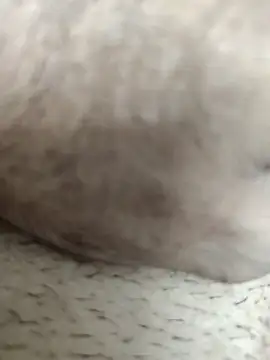 Jack31531 online show from 7, 10, 2025