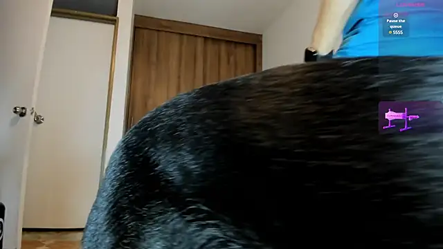 male pussy online show from 27, 2, 2025