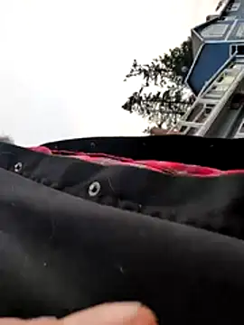 Armyexhibitionistvet online show from 9, 1, 2026