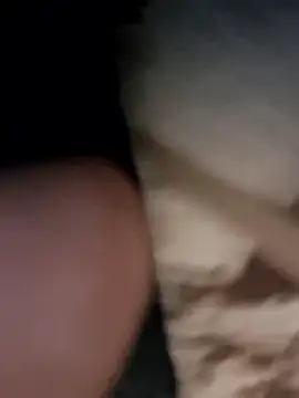 Armyexhibitionistvet online show from 11, 1, 2026