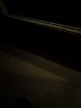 Armyexhibitionistvet online show from 13, 11, 2025