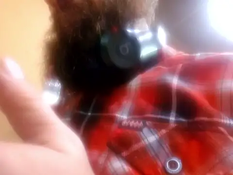 Armyexhibitionistvet online show from 14, 11, 2025