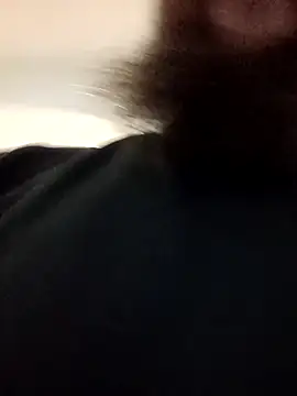 Armyexhibitionistvet online show from 2, 4, 2026