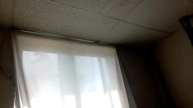 Armyexhibitionistvet online show from 5, 4, 2026