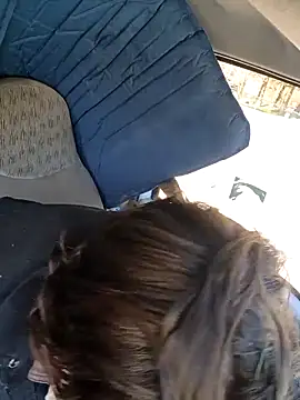 Armyexhibitionistvet online show from 22, 3, 2026