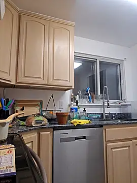 Armyexhibitionistvet online show from 13, 4, 2026