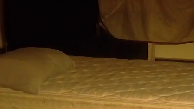 Armyexhibitionistvet online show from 19, 3, 2026