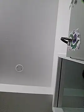 Armyexhibitionistvet online show from 13, 4, 2026