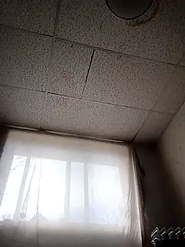 Armyexhibitionistvet online show from 3, 4, 2026