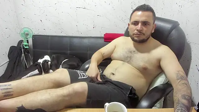  ace ventura online show from 24, 2, 2026