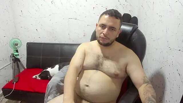  ace ventura online show from 14, 2, 2026