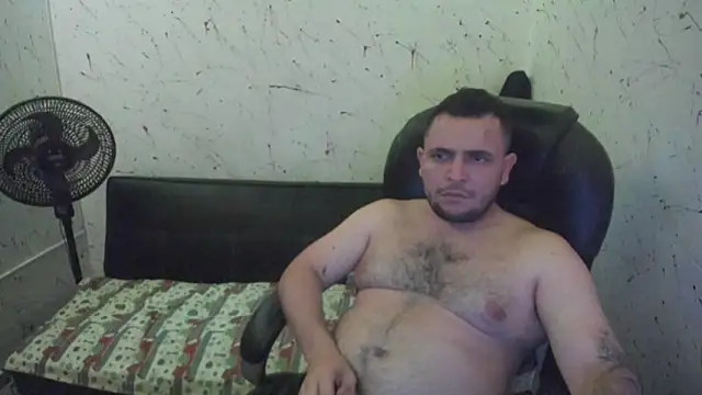  ace ventura online show from 19, 12, 2025