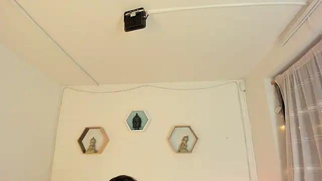 Paloma victory online show from 15, 11, 2025