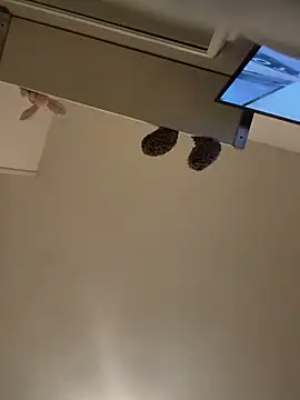 Sashabunny online show from 25, 3, 2026