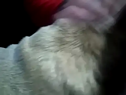 Snapshot of missthickness35_Pika chatting on 13, 1, 2025 missthickness35 Pika online show from 13, 1, 2025