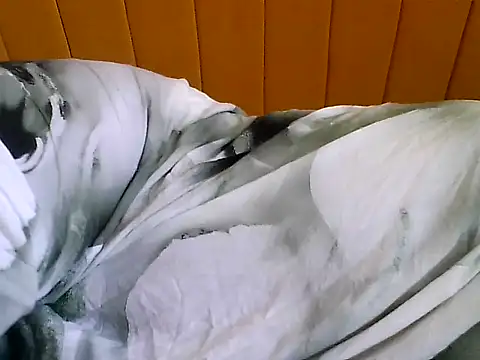 nastygirl- online show from 23, 11, 2025