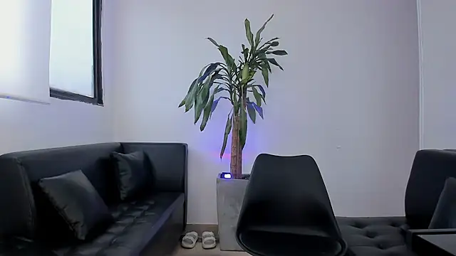 alice greco online show from 3, 2, 2026