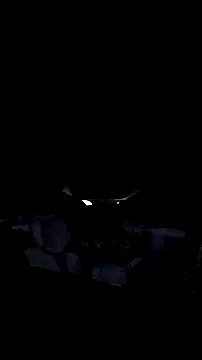 AriellaTaylor online show from 14, 12, 2025