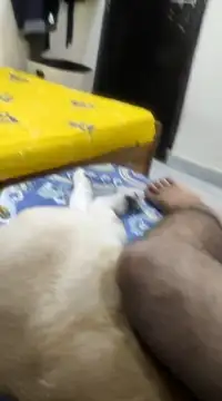 Believerrrr online show from 5, 2, 2025