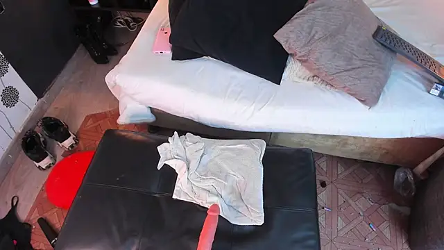 Snapshot of _poison_sweet chatting on 15, 12, 2024 poison sweet online show from 15, 12, 2024