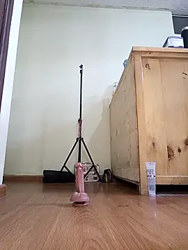 Anahi cake online show from 14, 2, 2025