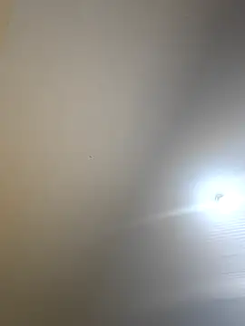 Missthigh online show from 5, 10, 2025