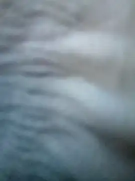 Sarita 7 online show from 20, 3, 2025