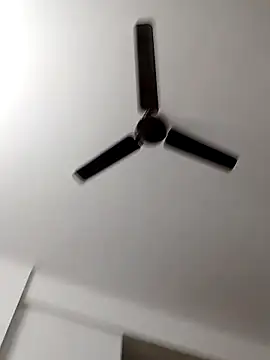 Camieon dre online show from 28, 10, 2025