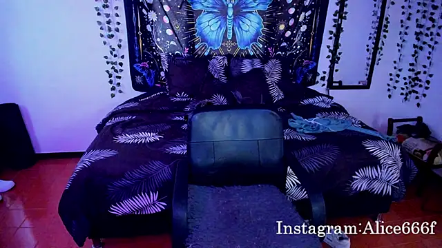 alice 666f online show from 3, 3, 2026