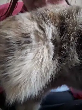 NikaMur online show from 19, 10, 2025