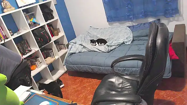 ravingr4d4 online show from 19, 2, 2026