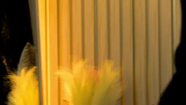 MiaCharm online show from 2, 2, 2026