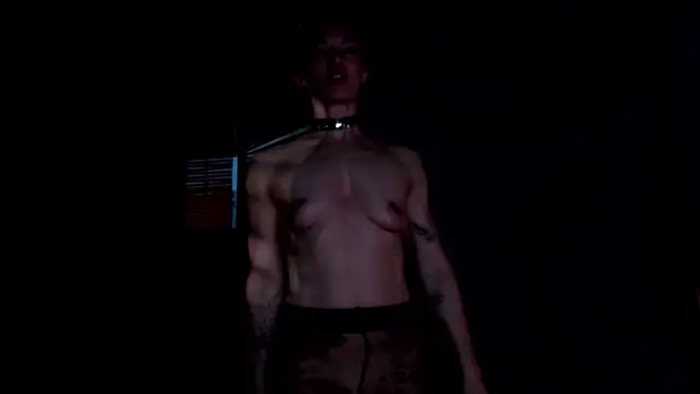 Dorothy Meyer online show from 18, 4, 2026