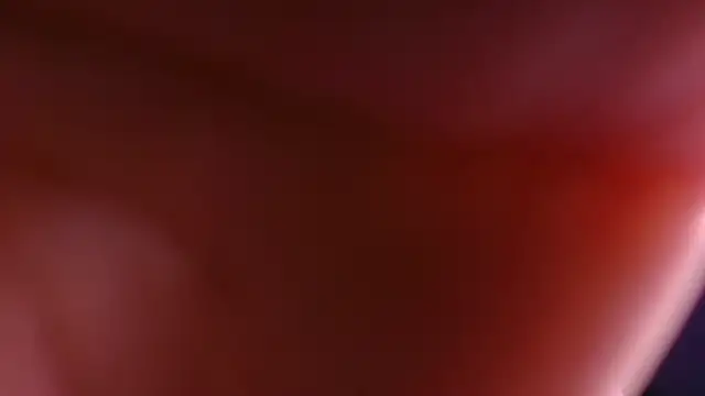 violett lo online show from 20, 12, 2025