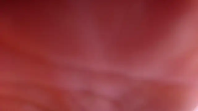 violett lo online show from 28, 2, 2026