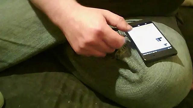 vimilili online show from 31, 10, 2025