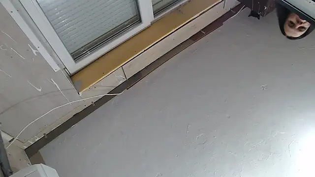 CRISTIINA37 online show from 1, 12, 2025