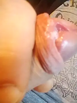 tomee83 online show from 2, 11, 2025